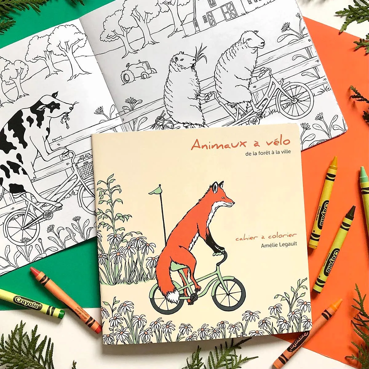 Animals on Bikes From the Forest to the Town Colouring Book