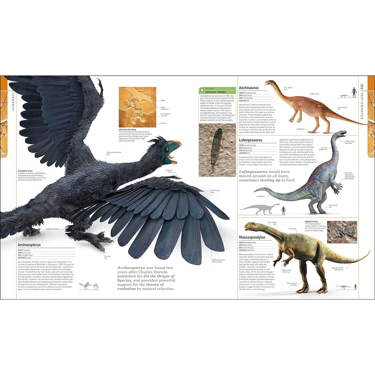 Dinosaurs and Prehistoric Life: The Definitive Visual Guide to Prehistoric Animals