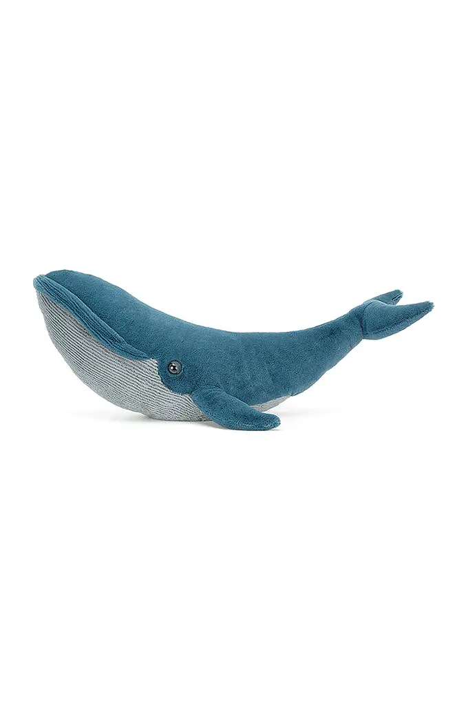 Gilbert the Great Blue Whale