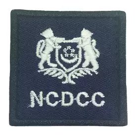 MINI NCDCC RANK PATCH - MAJOR (MAJ)