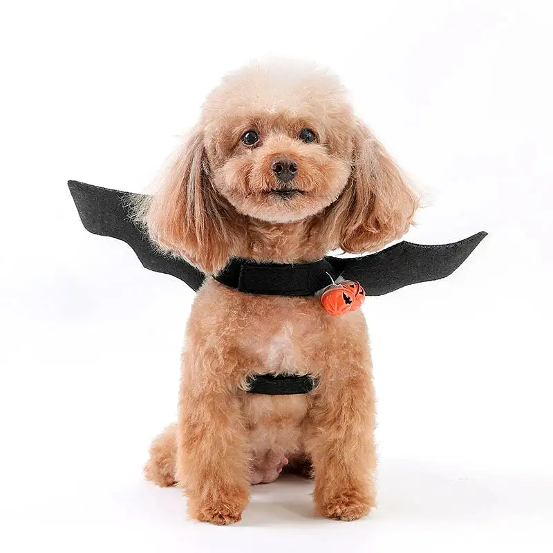 Pet Cat Costume Bat Wings Funny Pet Cosplay Prop Dog Halloween Costume Cat Dog Costume Cats Accessories Ropa Para Gatos